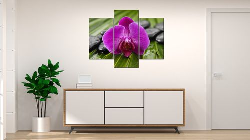 Obraz Płótno 90X70 Poranna Rosa na Arena.pl