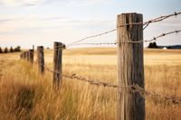 Plakat 91,5x61cm Płot na Polu