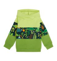 Bluza 3 kolory Dinozaury 104