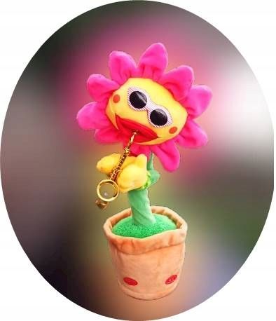 ŚPIEWAJĄCY TAŃCZĄCY KWIATEK z saksofonem SŁONECZNIK JAK KAKTUS na Arena.pl