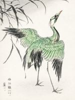 Plakat 15x20cm Demoiselle Crane, Kashu Japoński Vintage do Salonu