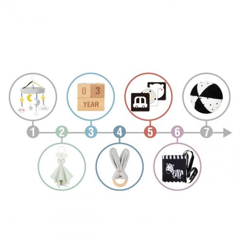 ZESTAW EDUKACYJNY DLA DZIECI na Arena.pl