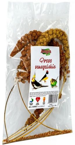 Alegia Proso senegalskie 80g na Arena.pl