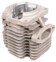 Cylinder CEDRUS opryskiwacz OP04 071197