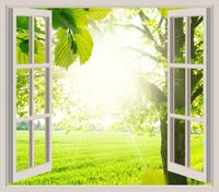 FOTOTAPETA 3D OKNO widok łąka polana las słońce