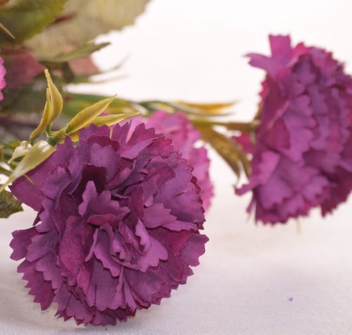 Goździk bukiet fuksja na Arena.pl