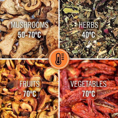 Suszarka do grzybów warzyw owoców 400W 5 sit wyświetlacz termoobieg na Arena.pl