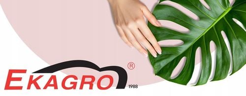 Podłoże Bigos Lekka BIO Ziemia do Monstery Kwiatów15L Wzbogacone na Arena.pl