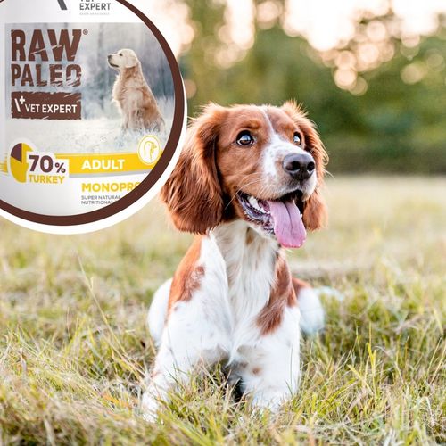 Mokra karma dla psów dorosłych indyk Raw Paleo 12 x puszka 800g na Arena.pl