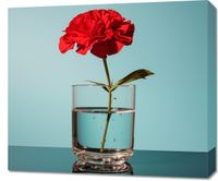 Obraz 70x60cm Kwiat w Szkle