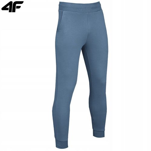 Spodnie Dresowe Męskie 4F Sportowe Joggery M603 dresy dres na co dzień L na Arena.pl