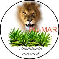 Opłatek na tort Lew Król Zwierząt Kot Kocur Kotek Gepard Puma Tygrys