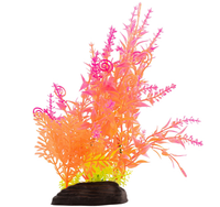 AQUA NATURA Roślina sztuczna ozdoba dekoracja akwarium terrarium Paproć 20c