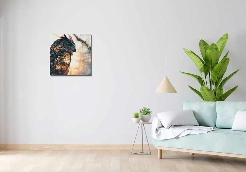 Obraz 50x50cm Sowi Duch zdjęcie 2