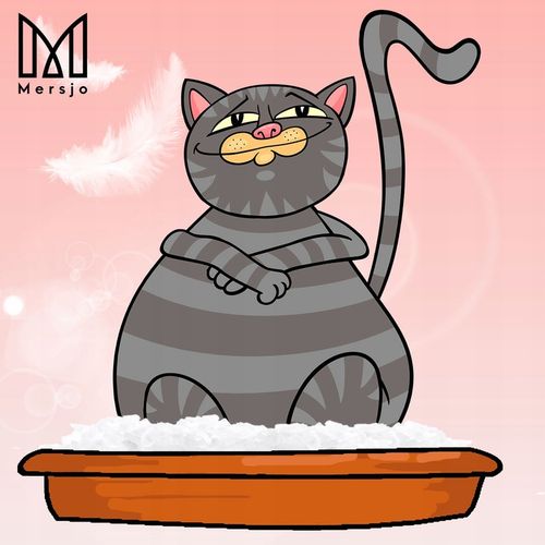 8x ŻWIREK SILIKONOWY dla kota PREMIUM bezpyłowy naturalny Mersjo 3,8L na Arena.pl