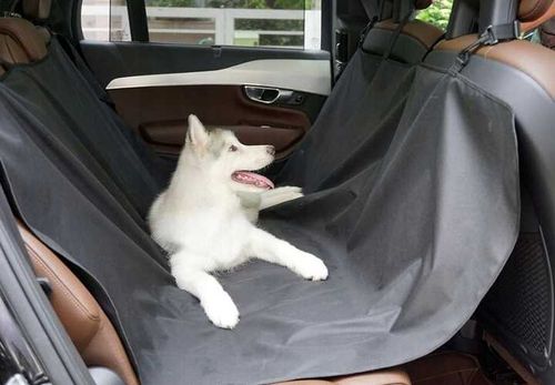 pokrowiec do samochodu - mata dla psa 144x144cm na Arena.pl