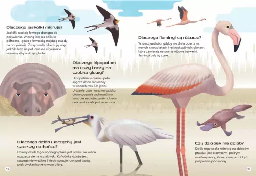 200 Ciekawostek. Zwierzęta Świata na Arena.pl