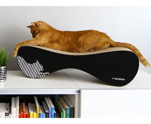 MyKotty Drapak Vigo czarny na Arena.pl