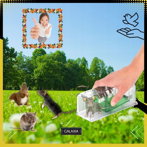 ŻYWOŁAPKA NA MYSZY 2 SZT Pułapka Łapka Szczury Pułapki Łapki 2X na Arena.pl