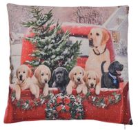 product-compare-55925187