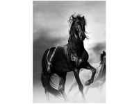 50X70CM CZARNY KOŃ OBRAZ PION ŚCIAN