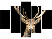 product-compare-58694313