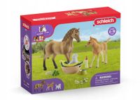 SCHLEICH Zestaw Figurki Pielęgnacja zwierząt + AKC