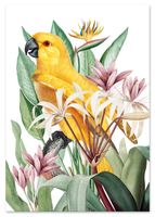 Plakat papuga w egzotycznych kwiatach 30x40 cm