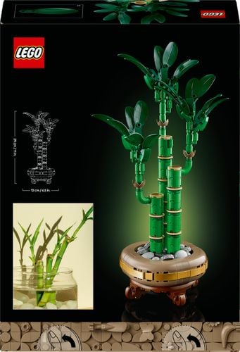 LEGO Botanicals 10344 Dracena sandera na Arena.pl