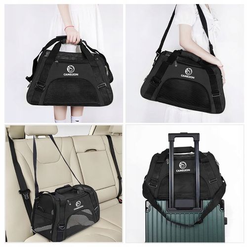 SOLIDNY Transporter dla Kota Psa Zwierząt Torba Podróżna MIĘKKA MATA GRATIS na Arena.pl