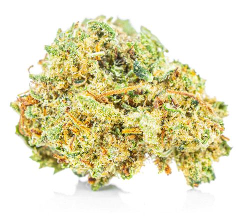 Susz konopny CBD | SUPER SILVER HAZE | 50 g na Arena.pl