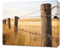 Obraz 60x50cm Płot na Polu