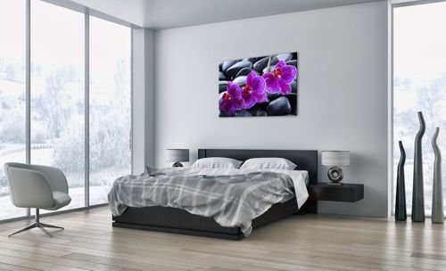 Obraz Na Płótnie - Storczyk Kamień - 100X70 Cm - Aa100X70-0440 na Arena.pl