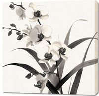 Obraz 90x90cm Orchidea