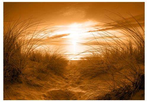 Fototapeta - plaża (sepia) 100x70 na Arena.pl