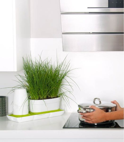 Ogródek domowy Minigarden Basic S Uno - biały zdjęcie 5