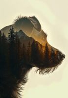 Plakat 68x98cm Psi Duch Lasu