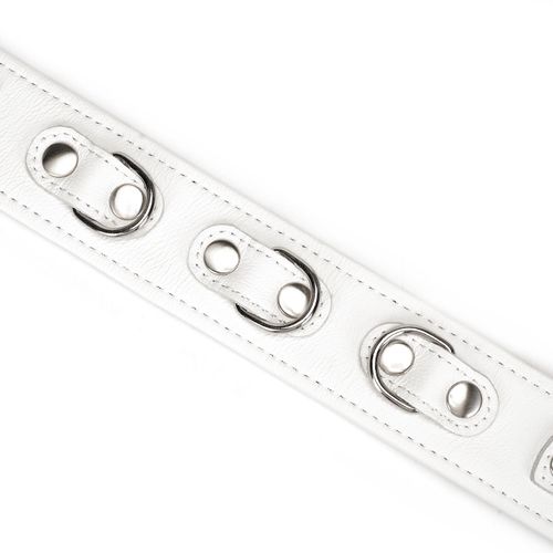 obróżka ze smyczą fuji white collar with leash liebe seele na Arena.pl