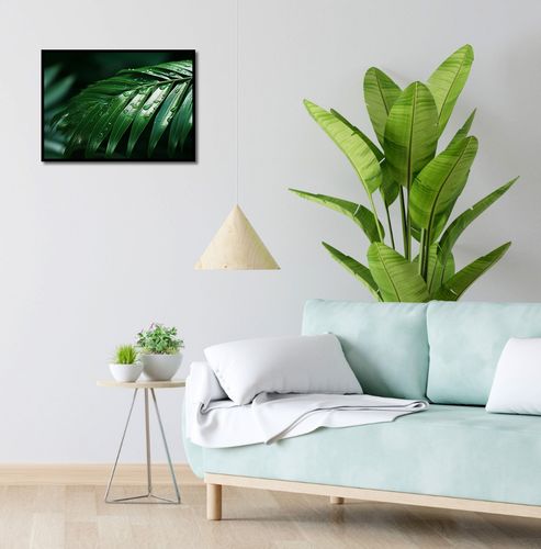 Plakat 55x40cm Żywa Łagodność na Arena.pl