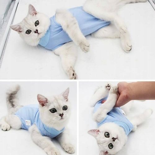 MIĘKKIE UBRANKO POOPERACYJNE DLA KOTA MOLLY S na Arena.pl