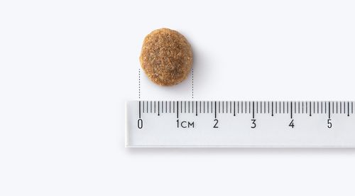 John Dog GOOD FORM ADULT Wieprzowina z Wołowiną 3kg Średnie i Duże Rasy na Arena.pl