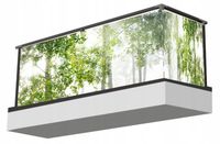 Osłona balkonowa LAS W SŁOŃCU brzozy drzewa TRWAŁA