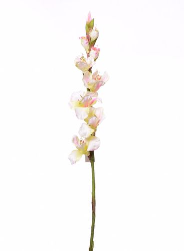 Mieczyk jasno zielony 84cm na Arena.pl