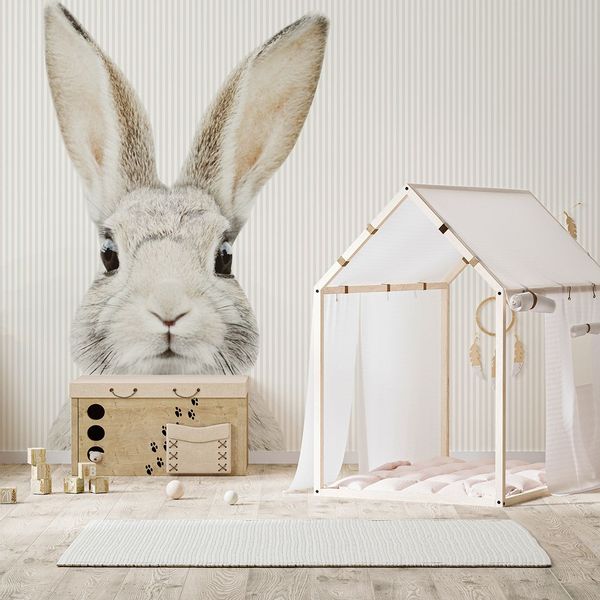 Tapeta Paski Królik Stefan W132 270 cm płótno zdjęcie 4