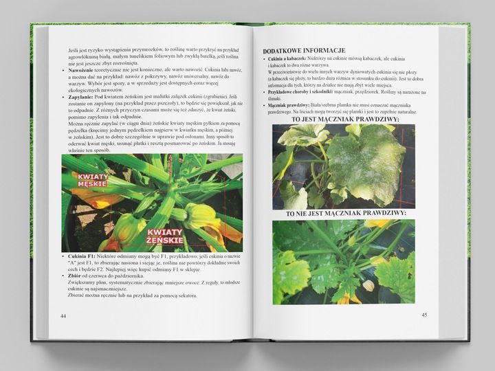 Książka infouprawa JAK UPRAWIAĆ WARZYWA + Kalendarz Warzywnika 2024 zdjęcie 2