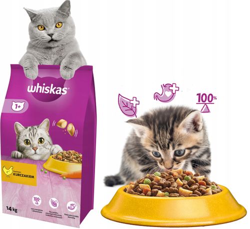 WHISKAS Sucha Kurczak 14kg na Arena.pl