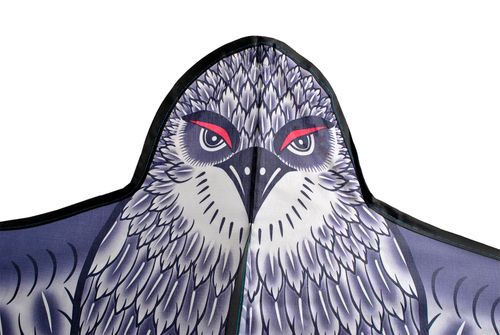 Latawiec - orzeł na Arena.pl