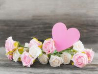 FOTOTAPETA KWIATY NATURA RÓŻE SERDUSZKO