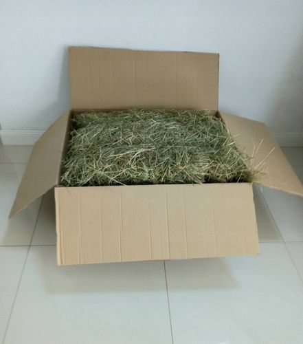 SIANO DUŻA KOSTKA ZIELONE PACHNĄCE - EKO DO 14 KG na Arena.pl