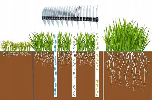 AERATOR WERTYKULATOR OBROTOWY RĘCZNY WAHADŁOWY DO TRAWY TRAWNIKA Z KOLCAMI na Arena.pl